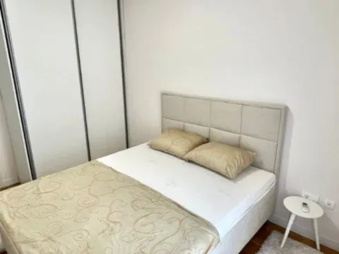 Izdavanje, jednosoban stan, 47m², Central Point, Podgorica - image 8