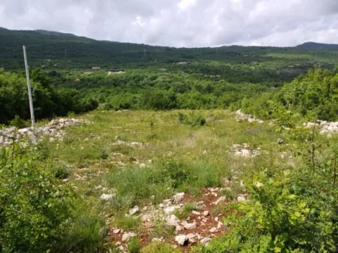 Sale, land lot, 19000m², Komani, Podgorica - image 3