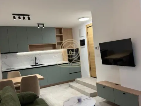 Izdavanje, dvosoban stan, 40m², Zvezdara Sve Podlokacije, Beograd - image 6