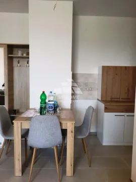 Izdavanje, dvosoban stan, 46m², Hala Pionir, Palilula Sve Podlokacije - image 15
