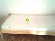 Rent, three bedroom apartment, 80m², Medijana, Niš - image 5