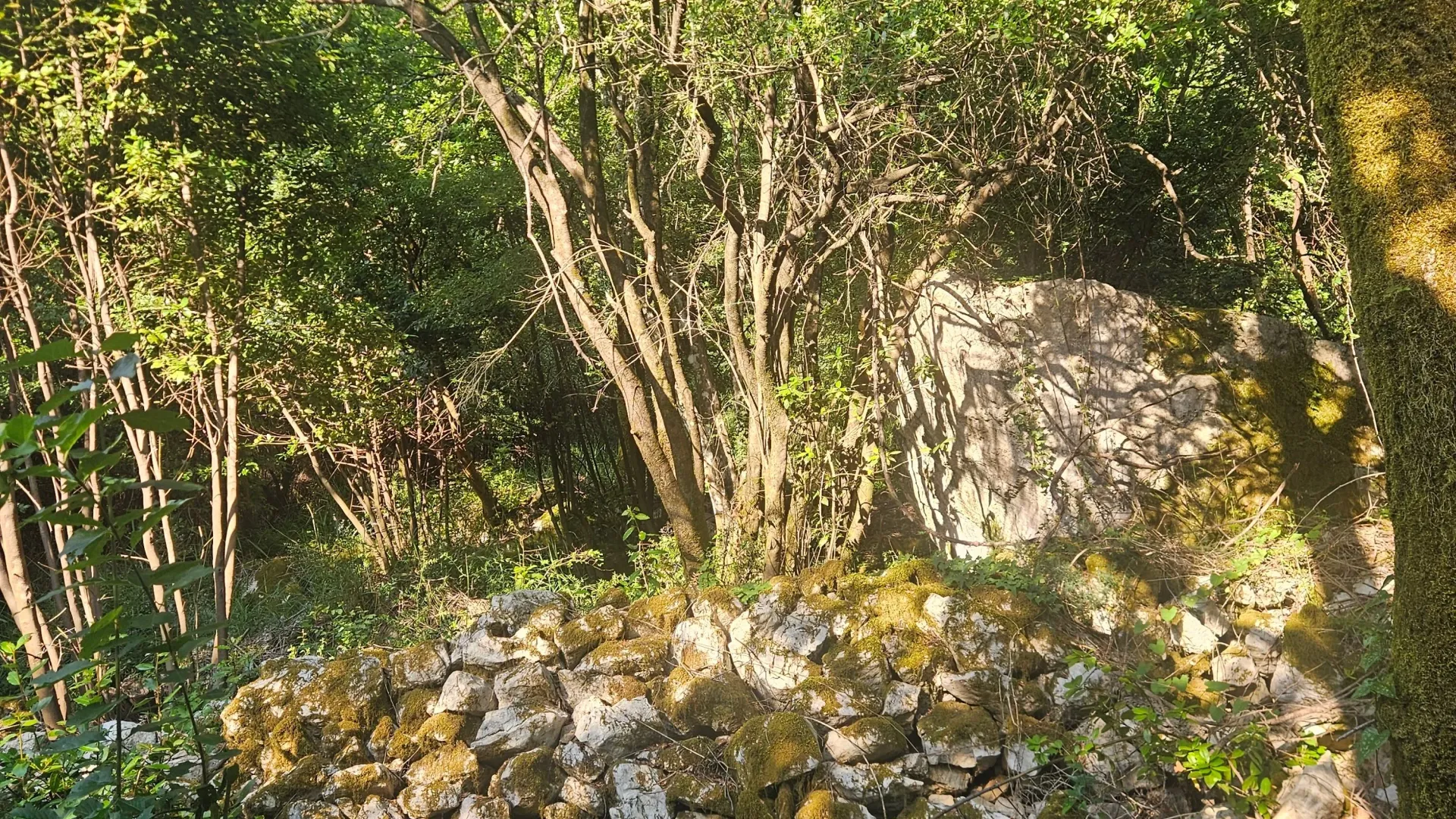 Prodaja, plac, 500m², Mojdež, Herceg Novi