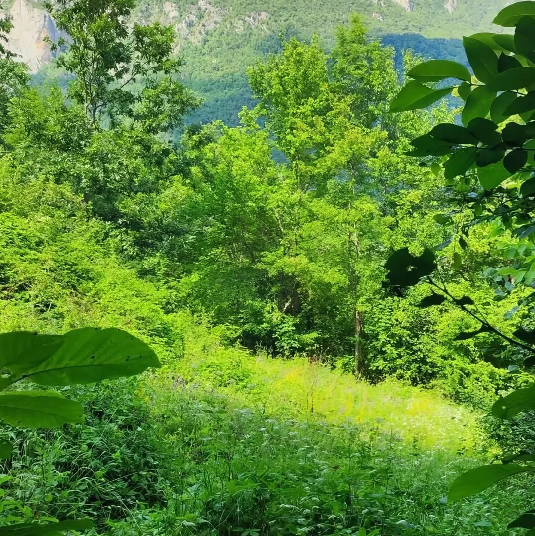 Prodaja, plac, 23425m², Plužine, Crna Gora