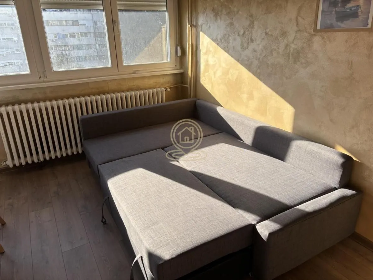 Living room with a grey pull-out sofa under the window.