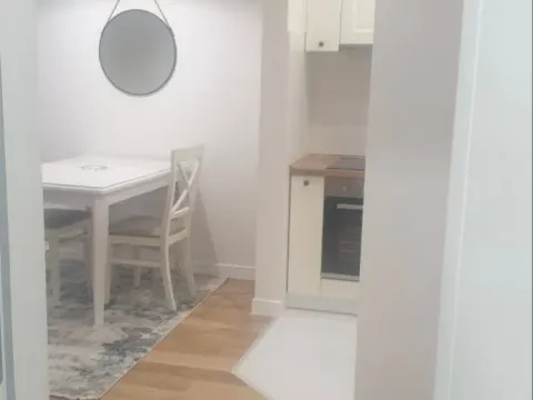 Izdavanje, jednosoban stan, 43m², Central Point, Podgorica - image 5