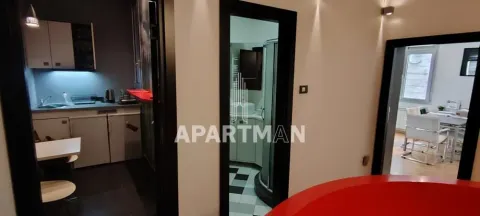 Izdavanje, poslovni prostor, 100m², Botanička Bašta, Palilula Sve Podlokacije - image 8
