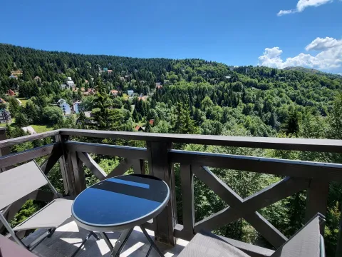 Prodaja, garsonjera, 27m², Treska, Kopaonik - image 7