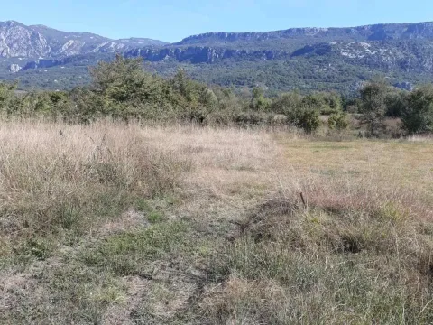 Prodaja, plac, 6274m², Danilovgrad, Crna Gora - image 3