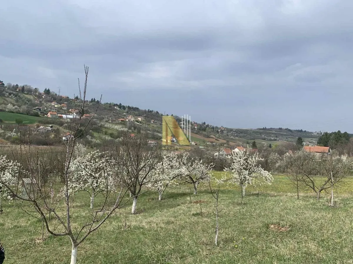 Prodaja, plac, 986m², Sremska Kamenica, Petrovaradin