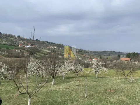 Prodaja, plac, 986m², Sremska Kamenica, Petrovaradin - image 4