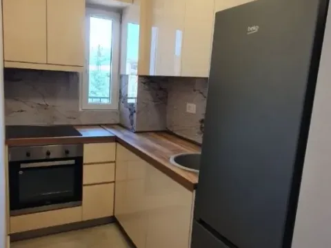 Rent, one bedroom apartment, 41m², Zabjelo, Podgorica - image 9