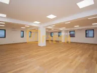 Rent, office space, 276m², Zabjelo, Podgorica - image 8