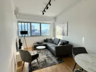 Izdavanje, jednosoban stan, 53m², Centar, Podgorica - image 2