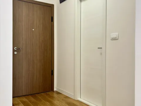 Rent, one bedroom apartment, 43m², Central Point, Podgorica - image 2