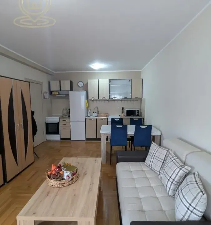 Izdavanje, jednosoban stan, 45m², Grbavica, Novi Sad Sve Podlokacije