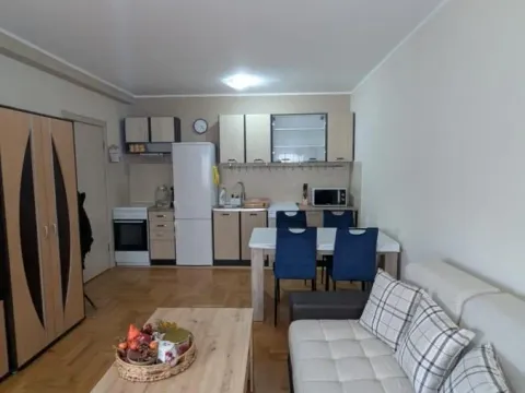 Izdavanje, jednosoban stan, 45m², Grbavica, Novi Sad Sve Podlokacije - image 1