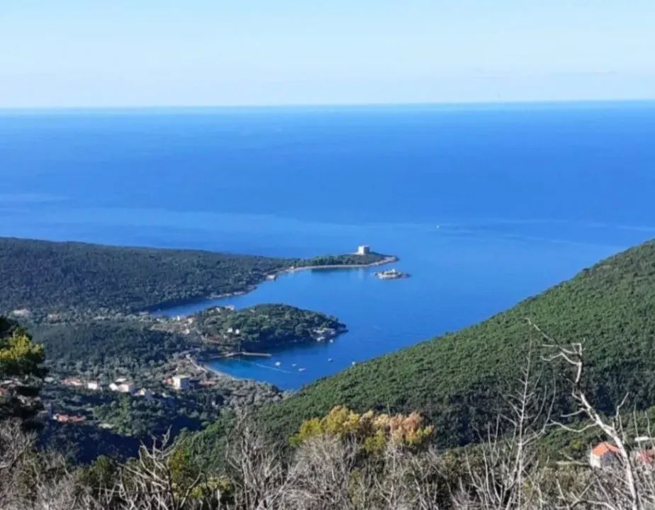 Prodaja, plac, 8000m², Luštica, Herceg Novi