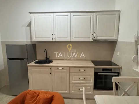 Izdavanje, dvosoban stan, 45m², Zabjelo, Podgorica - image 4