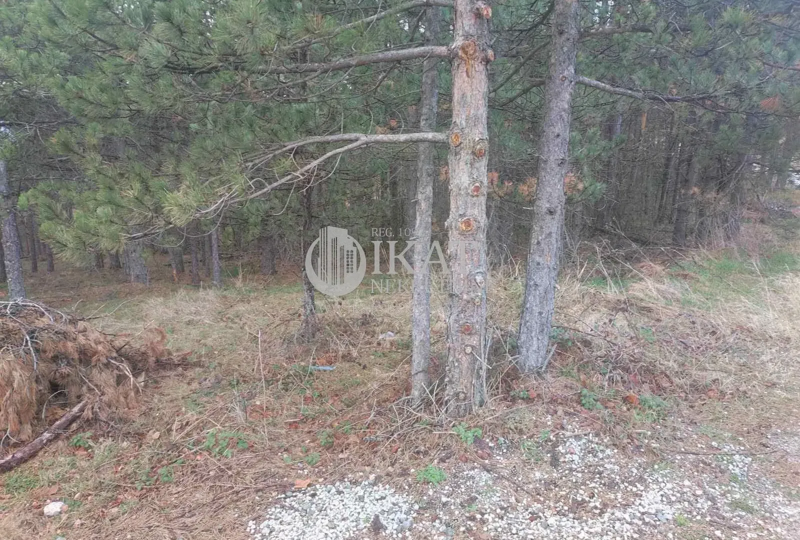 Prodaja, plac, Divčibare, Valjevo