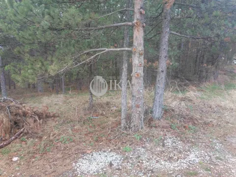 Sale, land lot, Divčibare, Valjevo - image 6