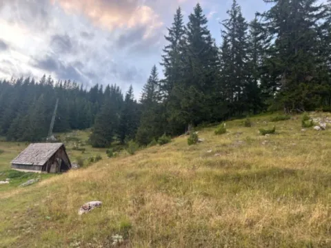 Prodaja, plac, 1330m², Žabljak, Crna Gora