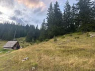 Prodaja, plac, 1330m², Žabljak, Crna Gora - image 1