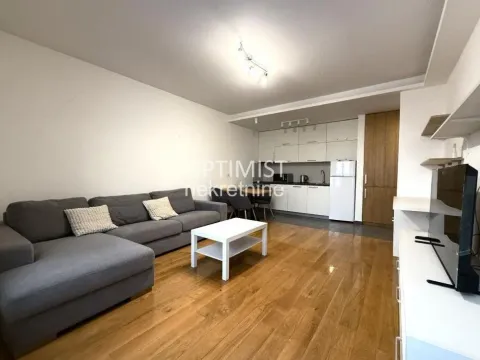 Izdavanje, dvosoban stan, 45m², Botanička Bašta, Palilula Sve Podlokacije - image 3