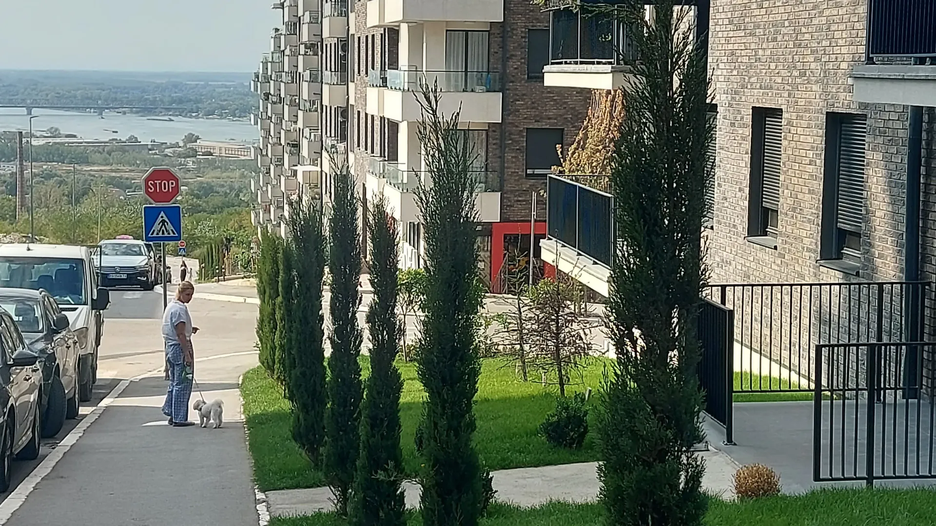 Rent, two bedroom apartment, 46m², Palilula Sve Podlokacije, Beograd