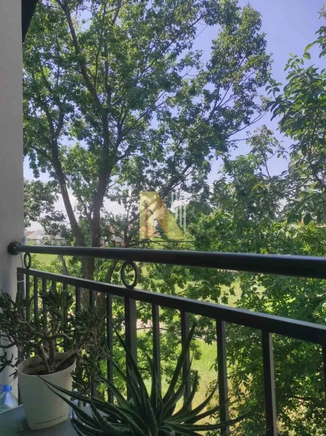 Izdavanje, jednosoban stan, 41m², Telep, Novi Sad Sve Podlokacije