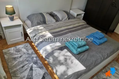 Izdavanje, dvosoban stan, 60m², Stari Merkator, Novi Beograd Sve Podlokacije - image 10