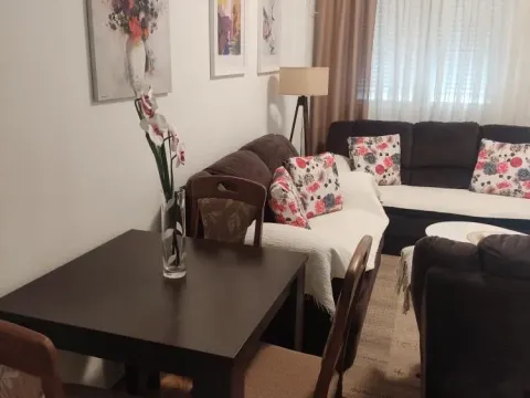 Rent, one bedroom apartment, 40m², Zabjelo, Podgorica - image 2