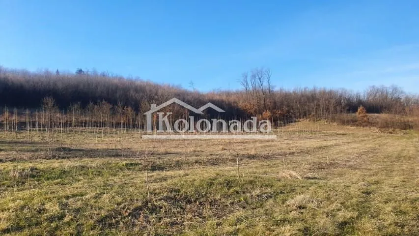 Prodaja, plac, 5718m², Sopot, Beograd