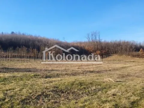 Prodaja, plac, 5718m², Sopot, Beograd - image 2