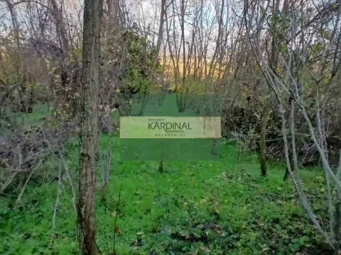 Prodaja, plac, 92300m², Đurđevo brdo, Jagodina - image 13