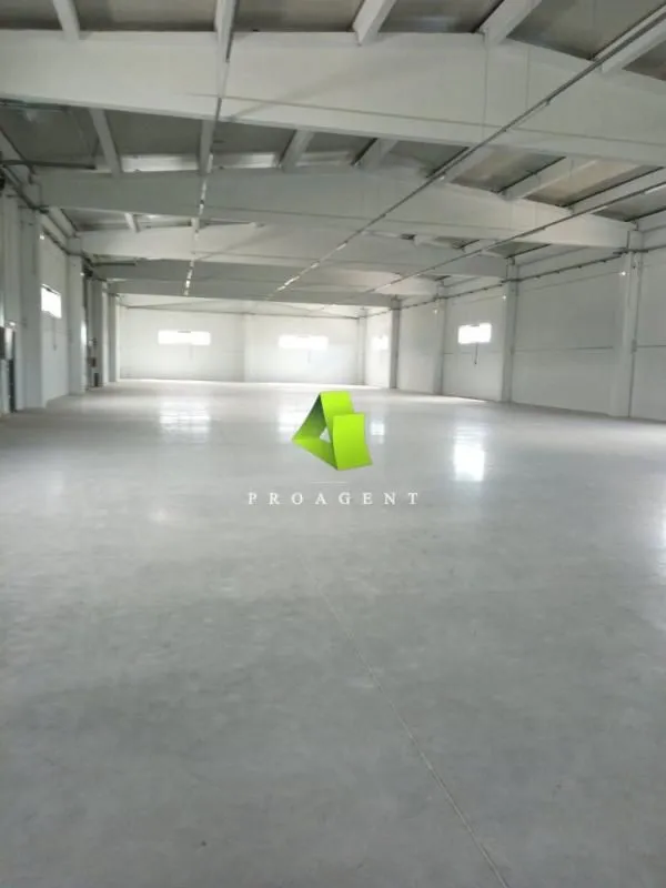 Rent, office space, 2962m², Pantelej, Niš