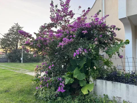 Sale, land lot, 5000m², Čeluga, Bar - image 3