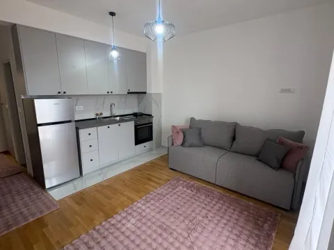 Rent, studio apartment, 35m², Zabjelo, Podgorica - image 3