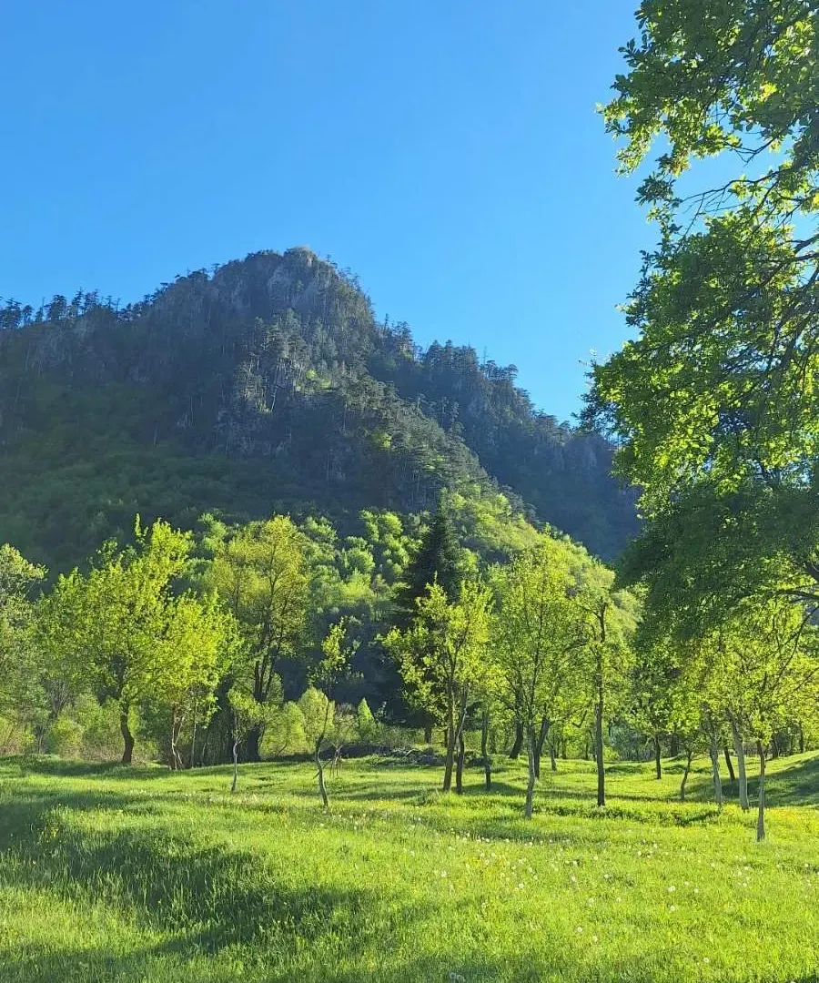 Rent, house, 100m², Dobrilovina, Mojkovac