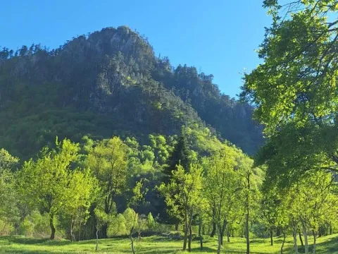 Rent, house, 100m², Dobrilovina, Mojkovac - image 15
