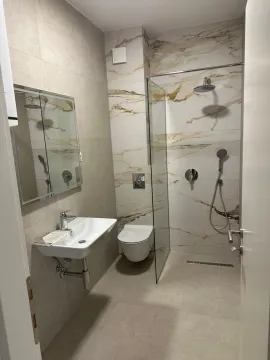 Modern bathroom with a walk-in shower, washbasin, and wall-hung toilet. - image 5