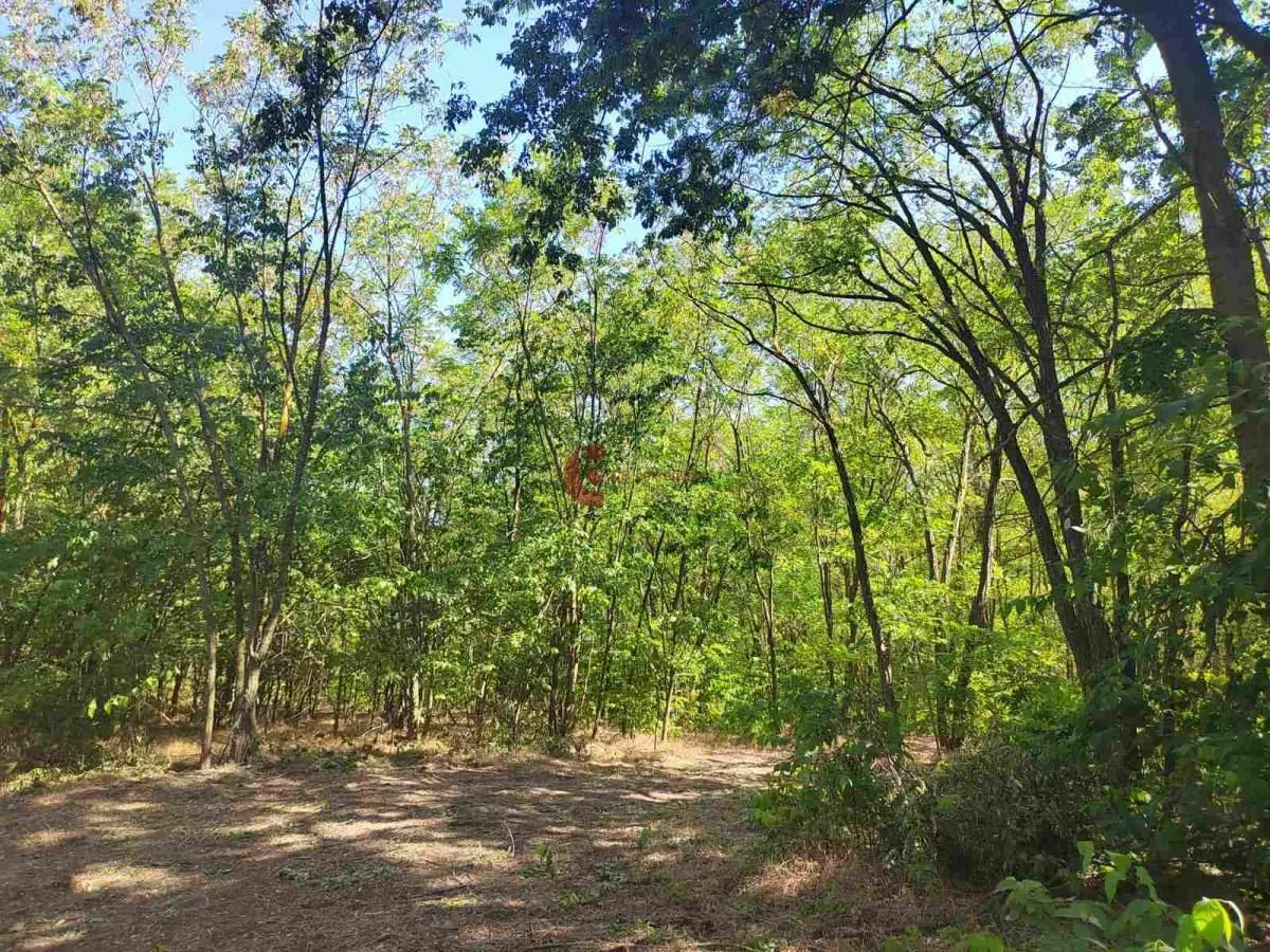 Prodaja, plac, 7216m², Kelebija, Subotica