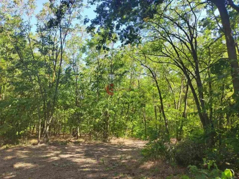Prodaja, plac, 7216m², Kelebija, Subotica - image 2
