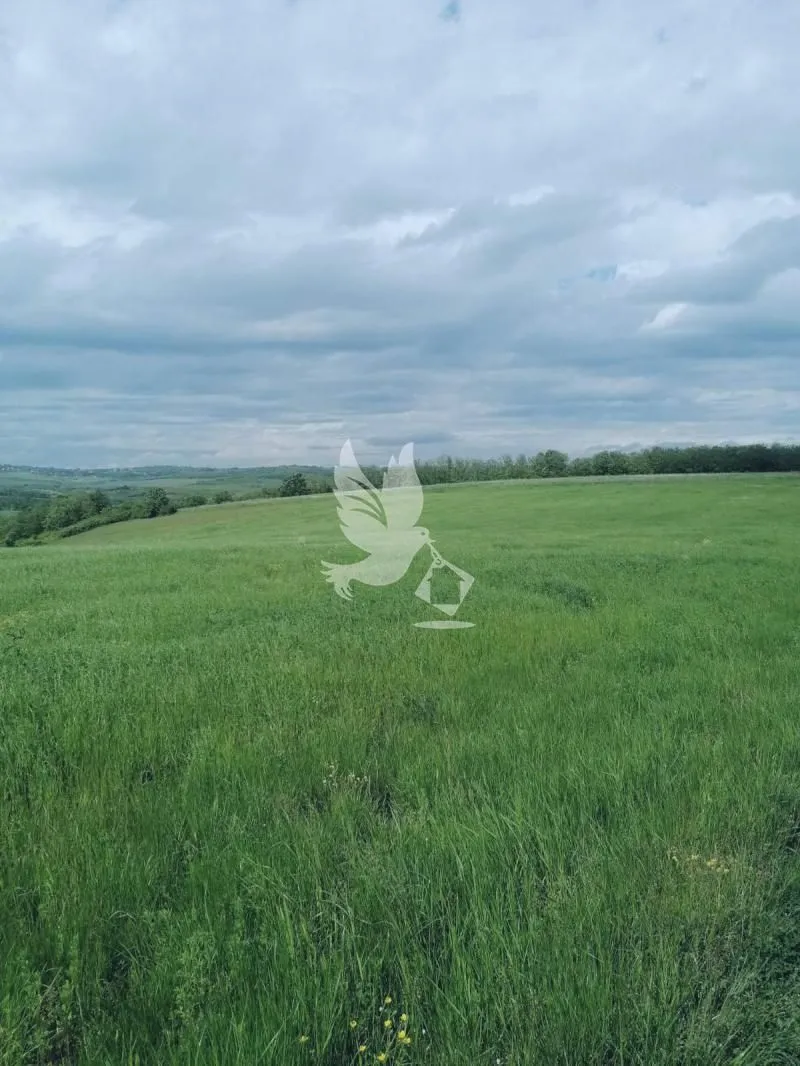 Prodaja, plac, 47000m², Sopot, Beograd