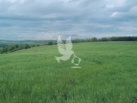 Prodaja, plac, 47000m², Sopot, Beograd - image 3