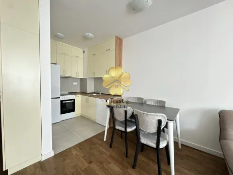 Izdavanje, jednosoban stan, 50m², Stari Aerodrom, Podgorica - image 4