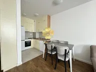 Izdavanje, jednosoban stan, 50m², Stari Aerodrom, Podgorica - image 4