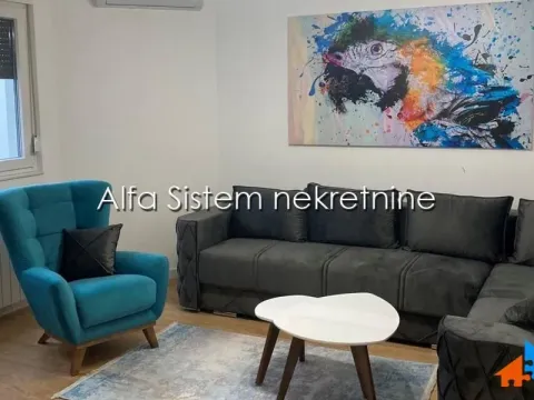 Izdavanje, dvosoban stan, 52m², Južni Bulevar, Vračar Sve Podlokacije - image 2