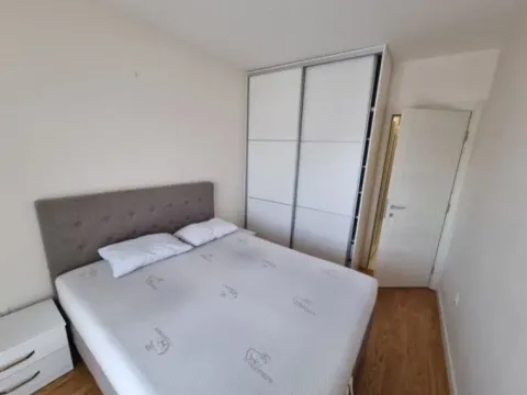 Izdavanje, jednosoban stan, 50m², Central Point, Podgorica - image 4