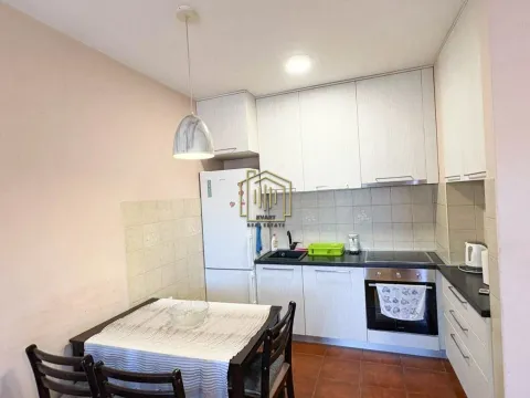 Rent, one bedroom apartment, 43m², Zabjelo, Podgorica - image 8