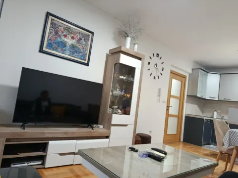 Izdavanje, jednosoban stan, 48m², Stari Aerodrom, Podgorica - image 2